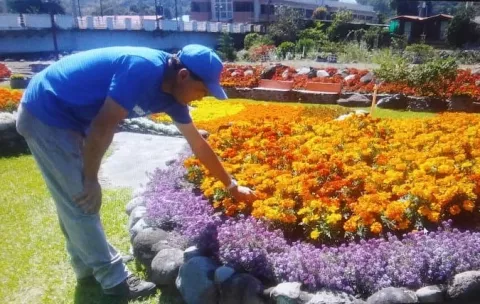La Feria de Las Flores y el Café en Boquete abre sus puertas al público
