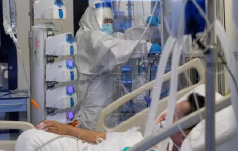 Hongo resistente a los fármacos  gana terreno en Panamá durante la pandemia de covid-19