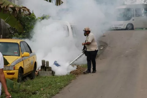 Las Garzas, Tocumen y 24 de Diciembre reportan altos casos de dengue