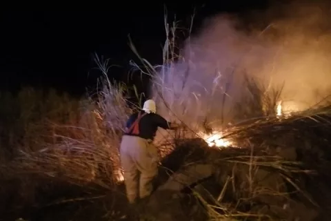 Los incendios de masa vegetal en Panamá Oeste van en aumento 