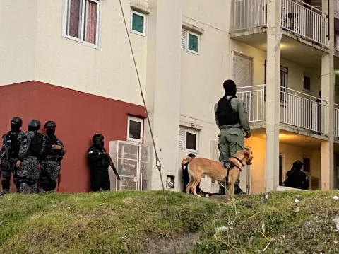 Operativo en Altos de Los Lagos en Colón deja un detenido y un arma incautada
