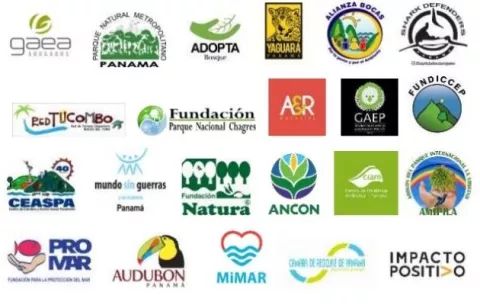 Sector ambiental rechaza conductas de abuso y maltrato infligidas a niños, niñas y adolescentes en albergues