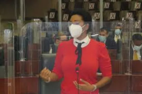  Walkiria Chandler: Personas que comparecieron por caso de albergues firmaron acuerdo de confidencialidad por 10 años 