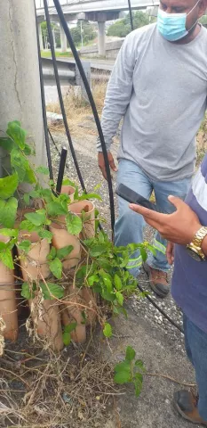 Veinte mil afectados por otro acto de vandalismo a Cable Onda