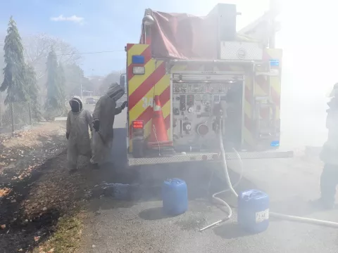 Abejas africanizadas enfurecidas atacan a bomberos y animales en El Carate de Las Tablas  