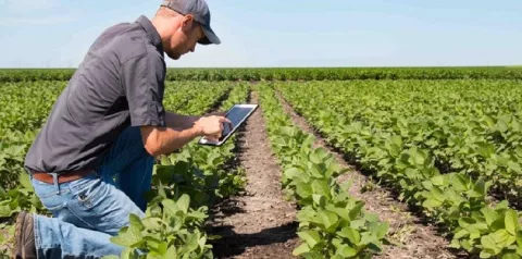 Expertos solicitan más   soluciones tecnológicas para  la agricultura