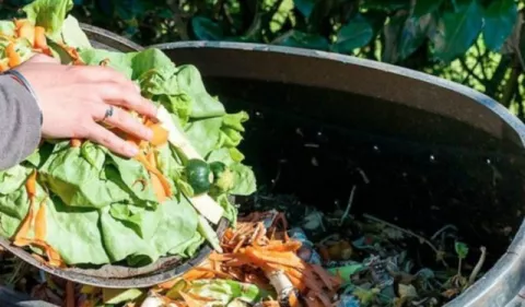 Alimentos que terminan en la basura, 931 millones de toneladas se desperdiciaron