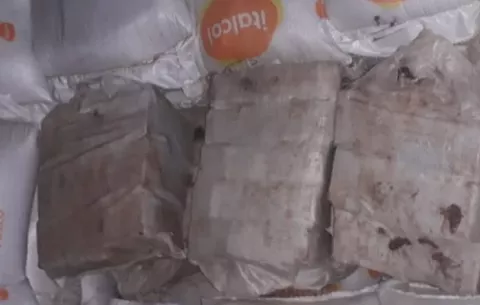Decomisan 350 paquetes de sustancia ilícita en el puesto de control de Guabala