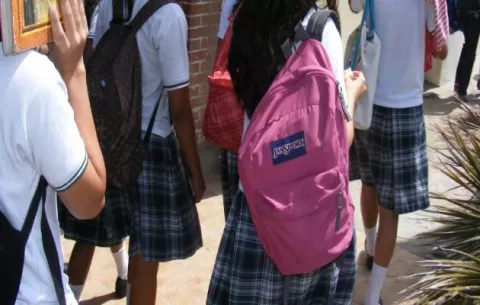 Unadepa: "Vetar el proyecto de ley 508 sería asesinar la educación en el país"