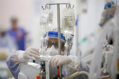 ¿Murciélagos o laboratorio? Las 4 teorías sobre la covid-19 que maneja la OMS