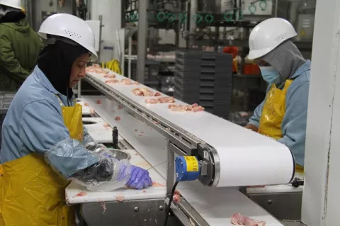 Avanza proceso de certificación de plantas para exportar carne de pollo a China