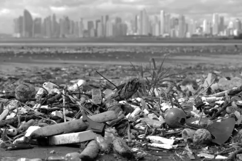 Sobre la extinción del hombre