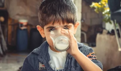 Leche, aliada en los programas escolares