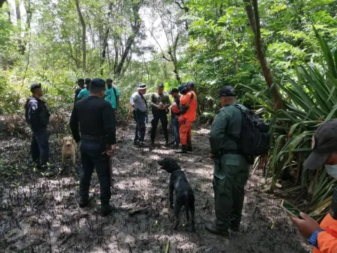 Encuentran cadáver en manglares cercanos a la comunidad de Altos de Los Lagos en Colón