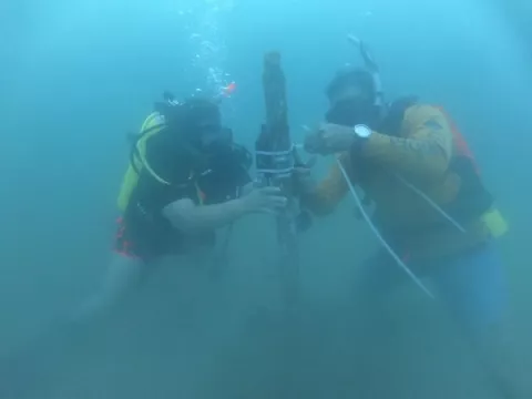 MiAmbiente instala grabadoras acústicas para monitorear especies marinas del Pacífico