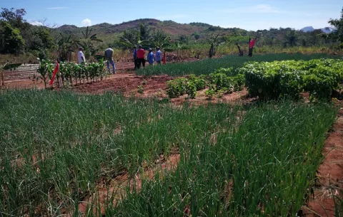 Mujeres agricultoras en Las Huacas de Natá se benefician con instalación de sistema de riego por goteo