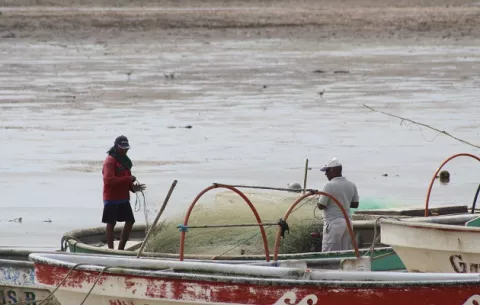 Un grupo de pescadores artesanales de Espavé, Chame buscan librarse de los intermediarios