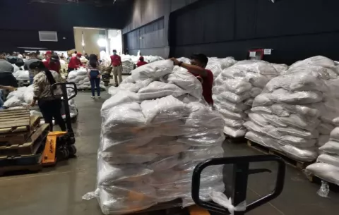 Unos seis mil novillos y 26 mil cerdos se han comprado a ganaderos y porcinocultores para el programa Panamá Solidario