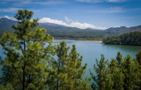 Informe de las Naciones Unidas indica que Panamá es un país carbono negativo gracias a sus bosques