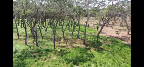 Panamá requiere de fondos internacionales para mejorar política ambiental