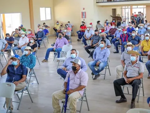 Instituto de Mercadeo Agropecuario pagó 1.2 millones de dólares a productores