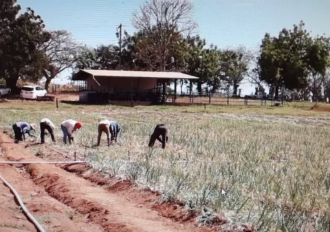 A pesar de la pandemia de covid-19, balance de productos agrícolas es positivo en Los Santos