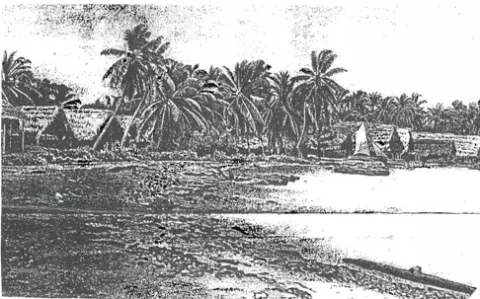 La muerte de un cacique guna, 114 años