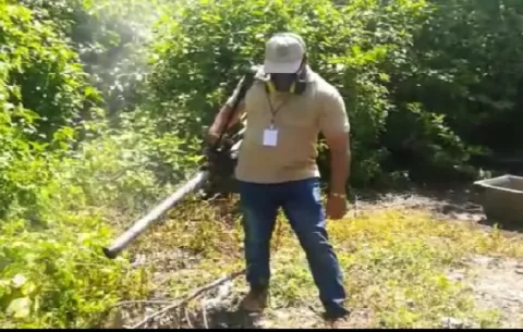 Preocupación en Chiriquí por aumento en el índice de infestación del mosquito Aedes Aegypti 