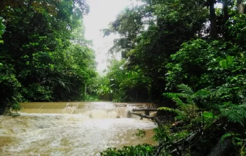 Turbiedad del agua afecta operación de plantas de agua en Chiriquí
