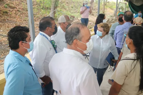 Establecen equipo técnico y científico para controlar plaga de los cítricos Huanglongbing (HLB), en Coclé