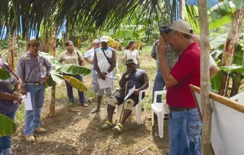 Mida insta a productores a registrarse en el sistema integrado de gestión agropecuaria de Panamá 