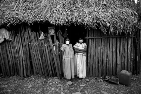 Cultura del primitivismo