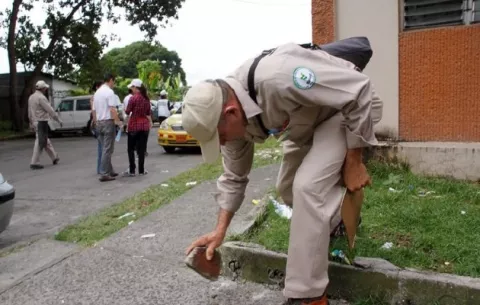 Minsa confirma ocho casos de dengue en la Región Metropolitana de Salud