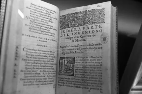Don Quijote, novela de humor o tragedia