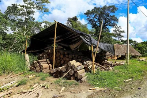 La energía eólica impulsa el mercado negro de la balsa en Ecuador