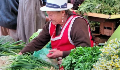 Áreas prioritarias en las que se debe aplicar un enfoques de género para lograr la seguridad alimentaria
