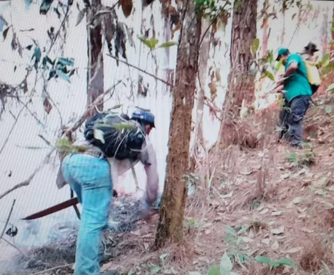 Incendio de masa vegetal consume 4 hectáreas de área protegida en Herrera