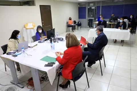 MEF realiza licitación de poda, tala y recolección en áreas revertidas por 798 mil dólares