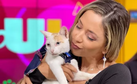 Marelissa Him adopta gata que fue usada para intentar ingresar droga a la cárcel de Colón