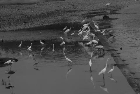Hacer las paces con la naturaleza
