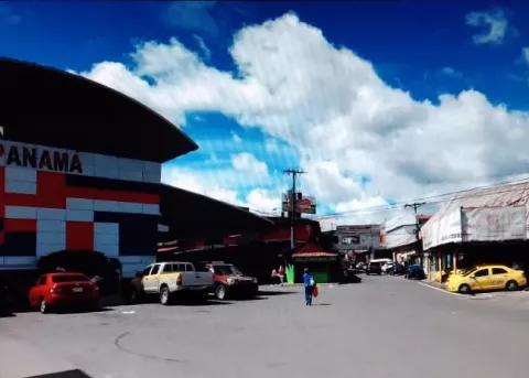 Panamá reforzará controles de bioseguridad en el cordón fronterizo con Costa Rica 