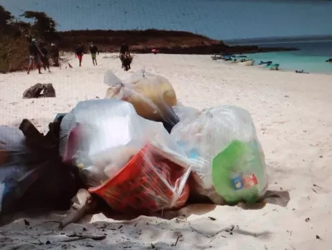 Gran cantidad de basura y hasta restos de iguana dejan visitantes en playas de Pedasí