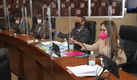 Decisión sobre proyecto de escuelas particulares se daría la otra semana