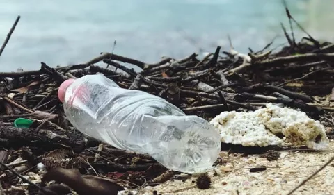 'Reciclar EsCultura', concurso de esculturas de basura