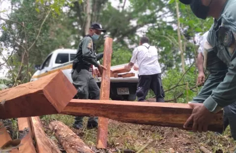 Técnicos de MiAmbiente retienen 683 estacas de presunta tala ilegal en Chiriquí