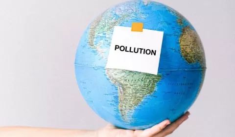 El impacto de las toalla y tampones en el ambiente