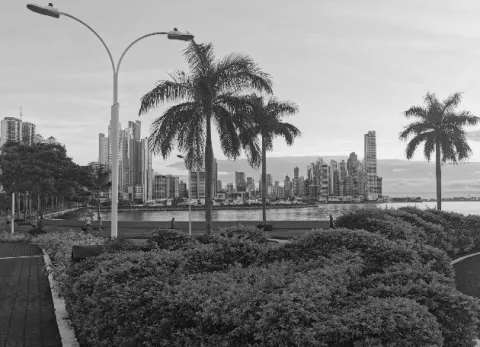 Turismo: Proyectando la apertura