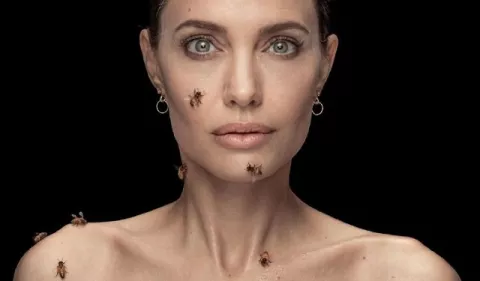 Angelina Jolie no se bañó durante tres días para poder posar con abejas