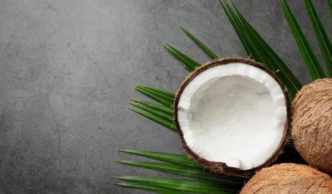 Bebida vegetal le da la vuelta al coco para fortalecer el sistema inmune