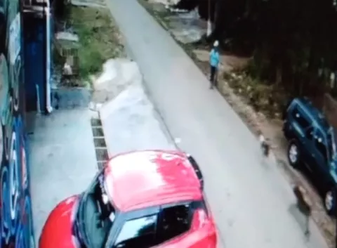 [VIDEO] Perro que mordió a señora en Chiriquí, fue grabado atacando a otro can de menor tamaño